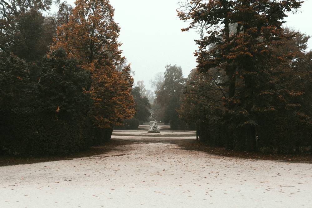 © Pexels